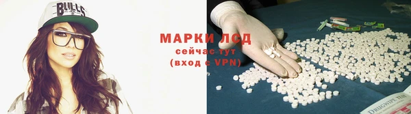 бошки Алексин