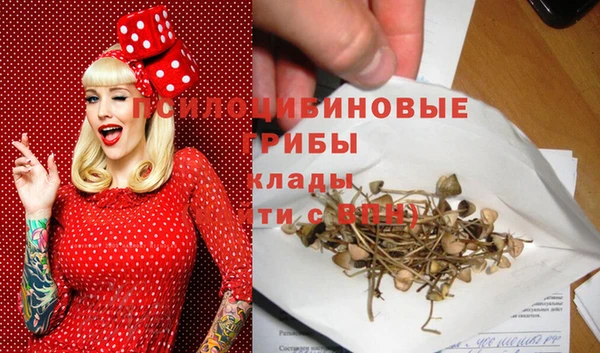 молекула духа Алексеевка