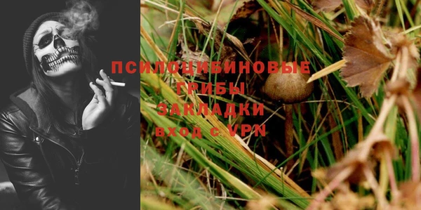 бошки Алексин
