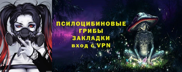 соль ск Алзамай