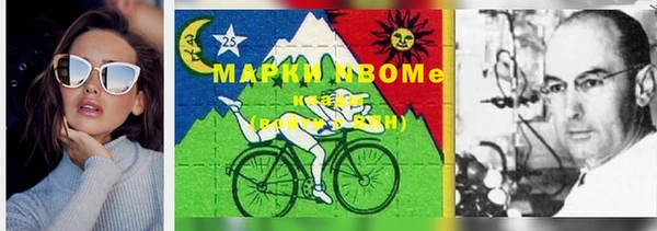 бошки Алексин