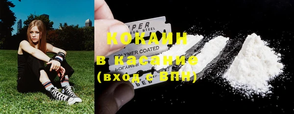 бошки Алексин