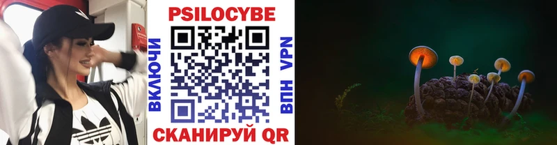 Галлюциногенные грибы прущие грибы  хочу   Неман 